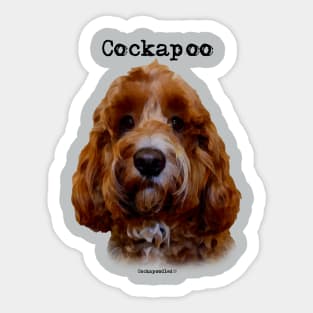 Red Cockapoo / Spoodle Dog Sticker